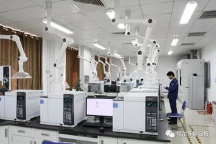 一季度鄂爾多斯經濟運行總體平穩向好，計算機系統集成產業展現活力